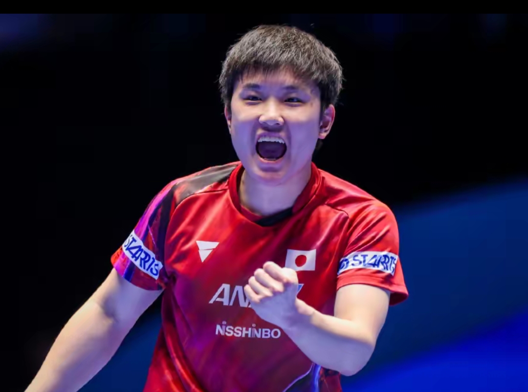 目的表现 目的表现